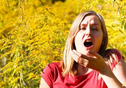 Las Vegas Allergy, Ragweed