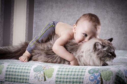 kid with cat