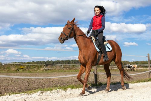 Woman in a red vest is horseback riding in the Las Vegas desert