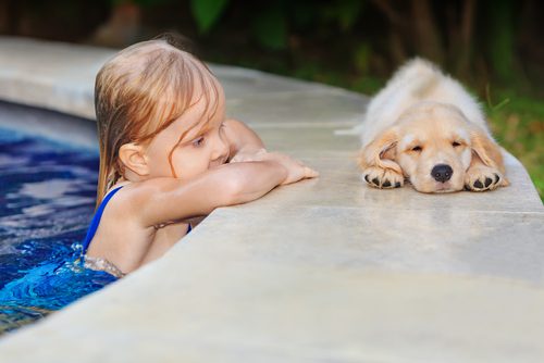 Child and Dog in the Summer Pool