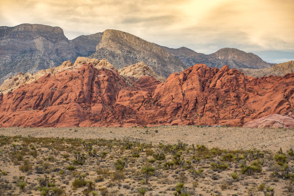 Red sandstone formations in the Mojave Desert outside Las Vegas