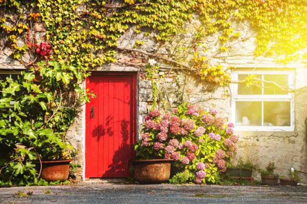 A Red Door is on a house surunded by flowers ad greenery