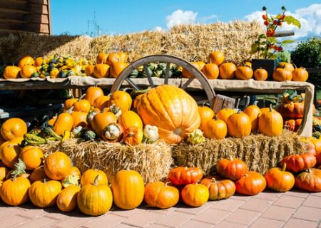 Las Vegas Sphere transforms into Halloween pumpkin