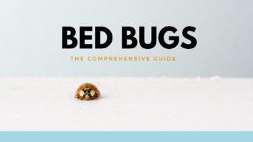 a lone bed bug is on a white background and the words bed bugs the comprehensive guide is appearing