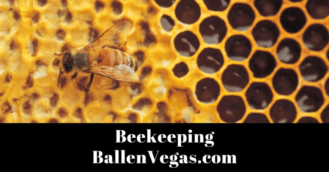 This short annotated bibliography provides a way to learn more about bees and the continued relationship we have with them.