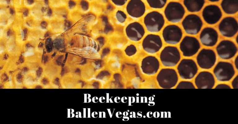 This short annotated bibliography provides a way to learn more about bees and the continued relationship we have with them.