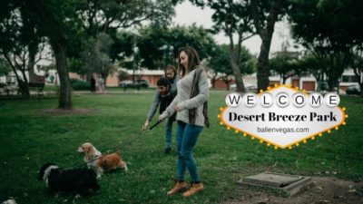 Desert Breeze Park is in Spring Valley, Las Vegas, NV at 8275 Spring Mountain Rd, Las Vegas, NV 89147. It's one of the largest parks here in Clark County and is 24-acres. Park hours are 6 am to 11 pm.