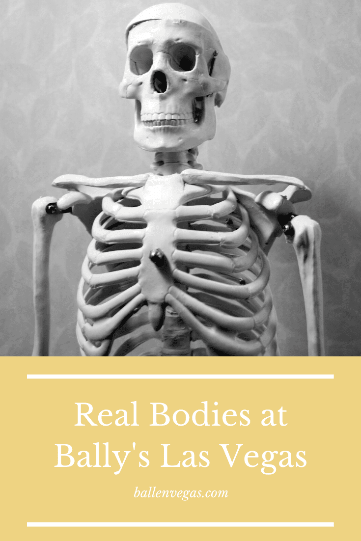 Featuring more than 20 completely preserved human bodies and more than 200 anatomical specimens, REAL BODIES at Bally's offers a thought-provoking look into the intricate workings of the human anatomy—proving that we are so much more than skin-deep. Galleries express the complexities of various systems of the body, like human muscle, the respiratory system, and the skeleton, as well as how they change from our first breath to our last. REAL BODIES encourages people to look inward and contemplate the reality of their own body.  Las Vegas Magazine wrote, "as you leave, don’t be surprised to find yourself reflecting on your life, health and the way you view the world.”