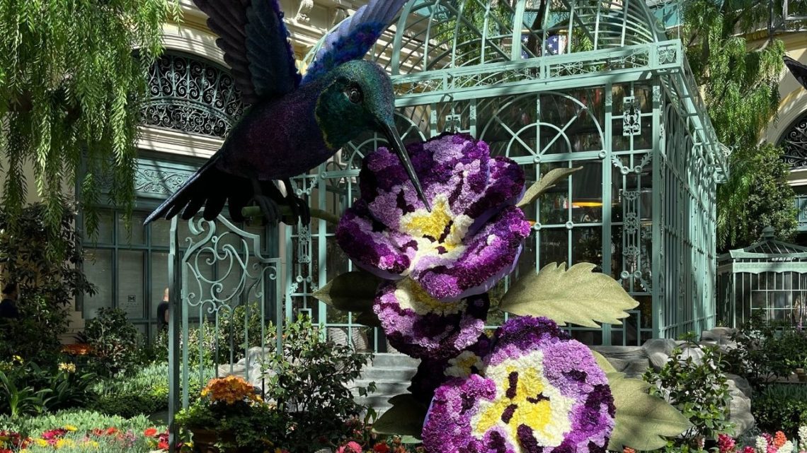 Inside the Bellagio Hotel and Casino lies their beautiful flower gardens. This inspirational space is full of the beauty of exotic flowers and blooms that are as pretty as they are fragrant. A great place to take some photos together that you can turn into a lovely forever keepsake. 