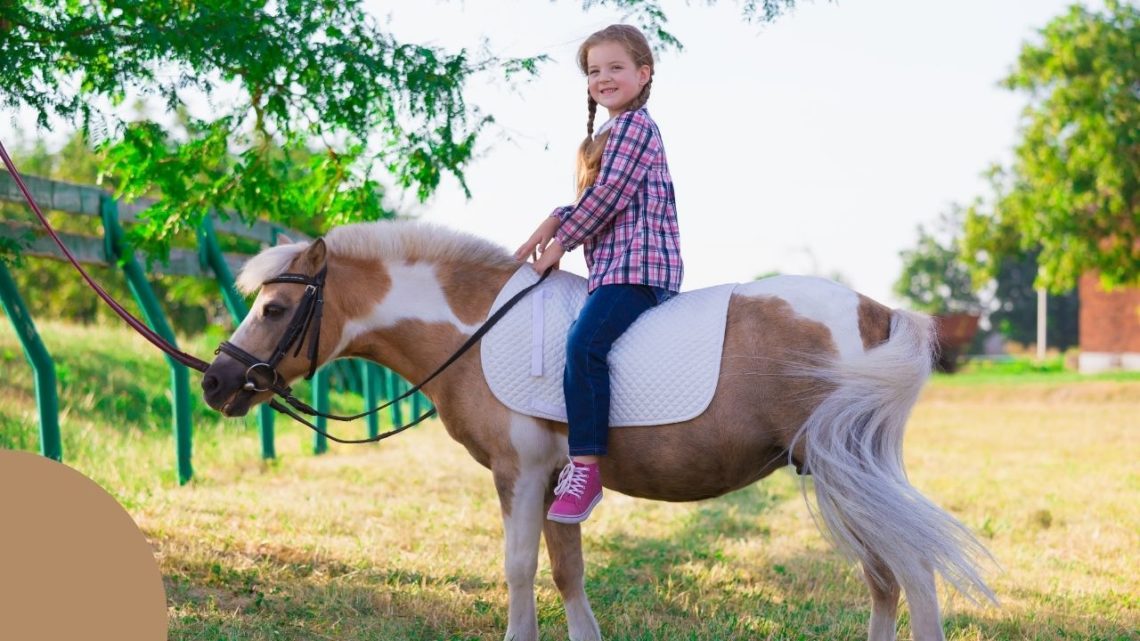 Enjoy up-close-and-personal animal encounters, a wild west atmosphere, hayrides, a playground, entertainment, and more. Bring a canned good donation for Las Vegas Rescue Mission. The entry fee helps provide for animal care.