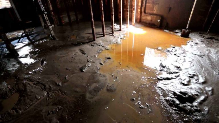 If you find yourself with a flooded basement, the best thing to do is to call a professional. Here are some of the professionals you can call.