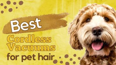 You can wade through the pages sorting through the details or read through our list of the best cordless vacuums for pet hair.